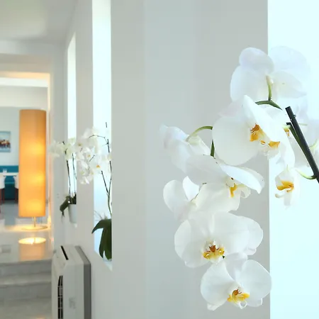 Hotel Saraya Bodrum