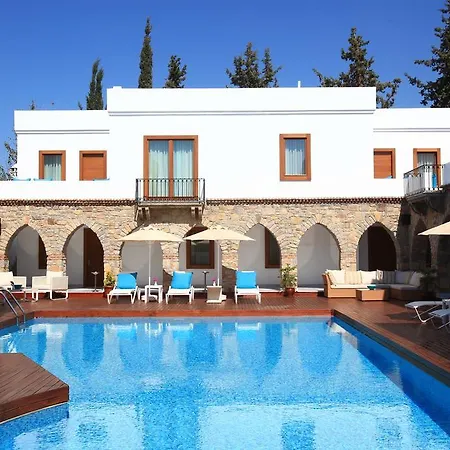 Отель Saraya Bodrum 2*