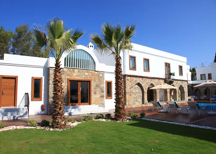 Hotel Saraya Bodrum 2*